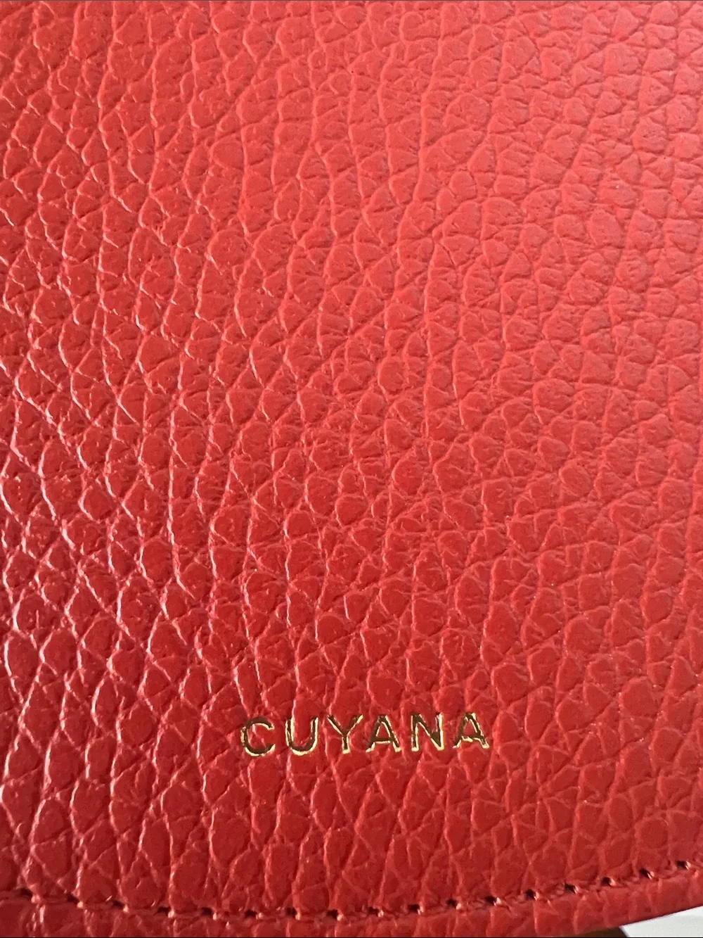 Cuyana double moon crossbody NWOT - Picture 14 of 14